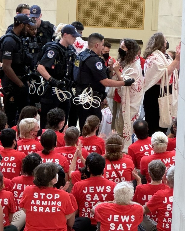 Foto - Savaş karşıtı Yahudilerden ABD Kongresi’nde İsrail protestosu