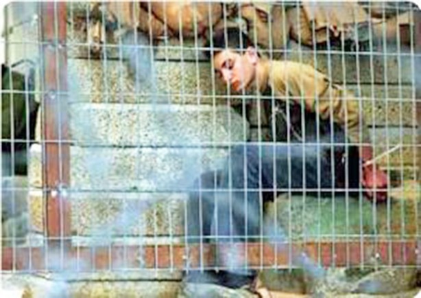 Foto - Savaşı kim başlattı?