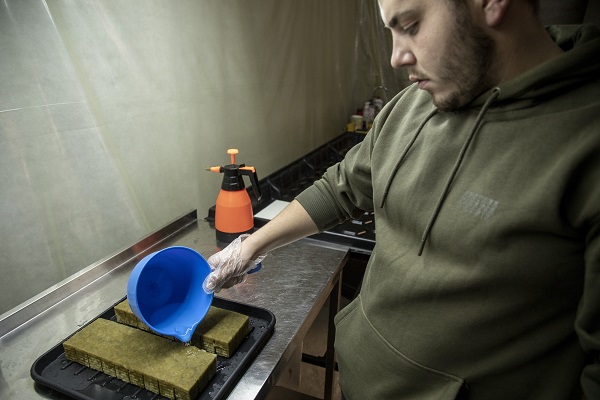 Foto - Savaşın gölgesinde yenilikçi tarım! Ukrayna’da bomba sığınağında bakın ne yetiştirdiler