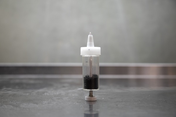 Foto - Savaşın gölgesinde yenilikçi tarım! Ukrayna’da bomba sığınağında bakın ne yetiştirdiler