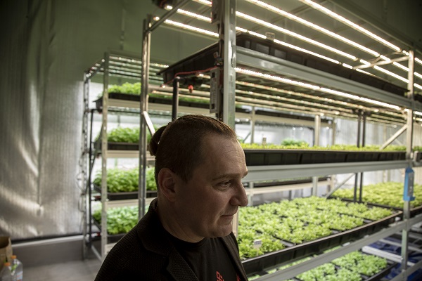 Foto - Savaşın gölgesinde yenilikçi tarım! Ukrayna’da bomba sığınağında bakın ne yetiştirdiler