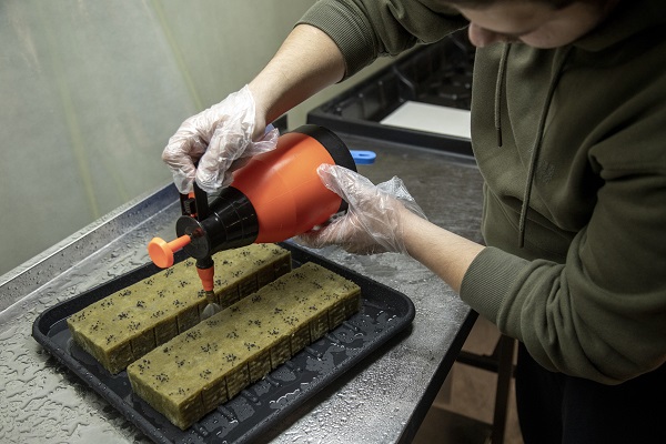 Foto - Savaşın gölgesinde yenilikçi tarım! Ukrayna’da bomba sığınağında bakın ne yetiştirdiler