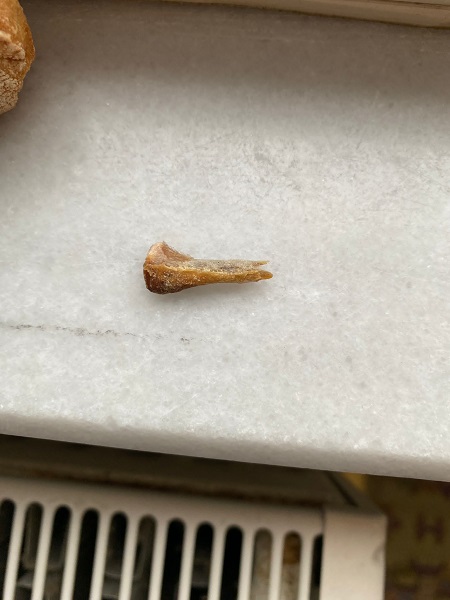 Foto - Savunması 'pes' dedirtti! Ekmekten öyle bir şey çıktı ki!