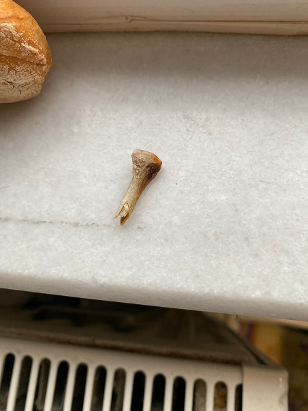 Foto - Savunması 'pes' dedirtti! Ekmekten öyle bir şey çıktı ki!