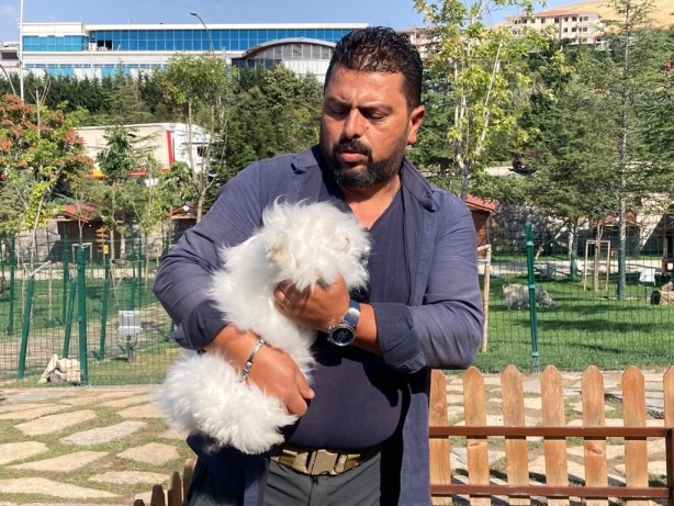 Sayıları giderek düşüyor! Türkiye’de son 25