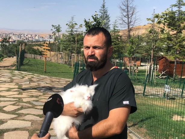 Foto - Sayıları giderek düşüyor! Türkiye’de son 25