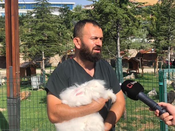 Foto - Sayıları giderek düşüyor! Türkiye’de son 25