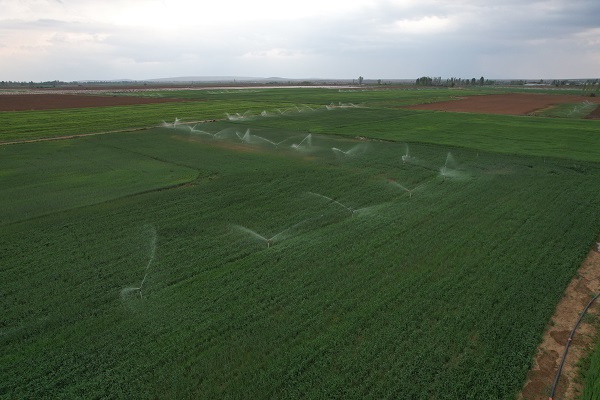 Foto - Sayıları her geçen gün artıyor! Obruk oluşumu önceden tahmin edilebilir mi? 