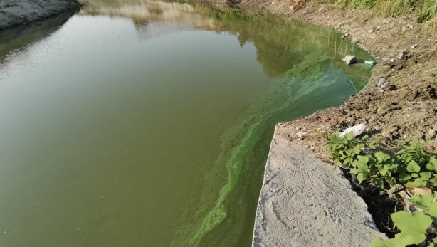 Foto - Sazlıdere Barajı'nda endişelendiren görüntü