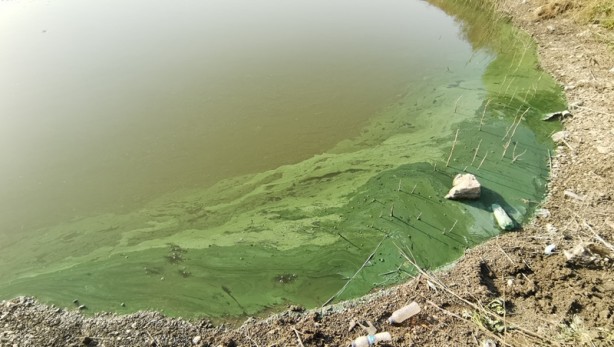 Foto - Sazlıdere Barajı'nda endişelendiren görüntü
