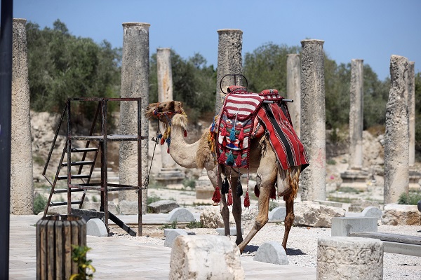 Foto - Sebastia beldesi "Yahudileştirme" tehdidiyle karşı karşıya