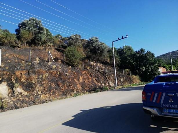 Foto - Sebebi belirlenemeyen yangınlara bir yenisi daha eklendi! 100 dönümlük zeytin ve çam ağaçları zarar gördü