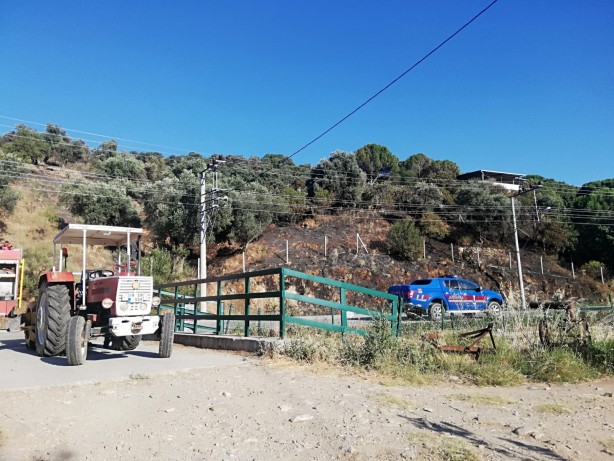 Foto - Sebebi belirlenemeyen yangınlara bir yenisi daha eklendi! 100 dönümlük zeytin ve çam ağaçları zarar gördü