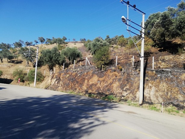 Foto - Sebebi belirlenemeyen yangınlara bir yenisi daha eklendi! 100 dönümlük zeytin ve çam ağaçları zarar gördü