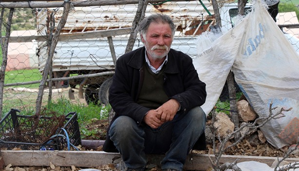 Foto - Sebebi bilinmiyor! 80 tanesi birden öldü... İnceleme başlatıldı