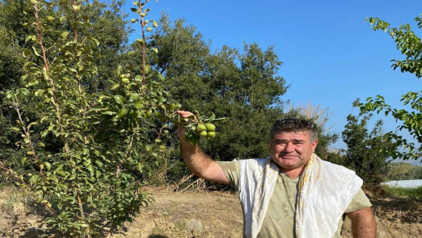 Foto - Sebebini duyan şok oldu! Birden harekete geçtiler! O ilimizde dağ taş her yere o ağacı dikmeye başladılar 