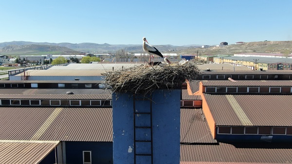 Foto - Sebebini duyunca çok şaşıracaksınız! Bakın o firma üretimi neden durdurdu