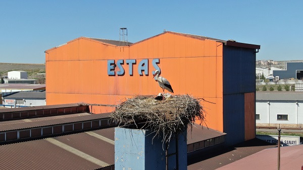 Foto - Sebebini duyunca çok şaşıracaksınız! Bakın o firma üretimi neden durdurdu
