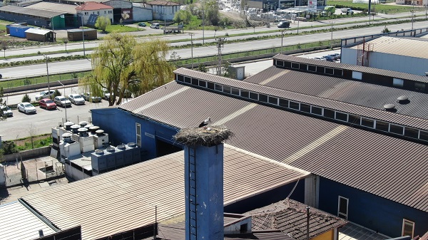 Foto - Sebebini duyunca çok şaşıracaksınız! Bakın o firma üretimi neden durdurdu