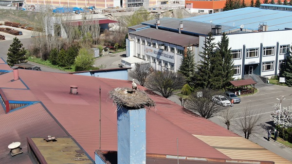 Foto - Sebebini duyunca çok şaşıracaksınız! Bakın o firma üretimi neden durdurdu