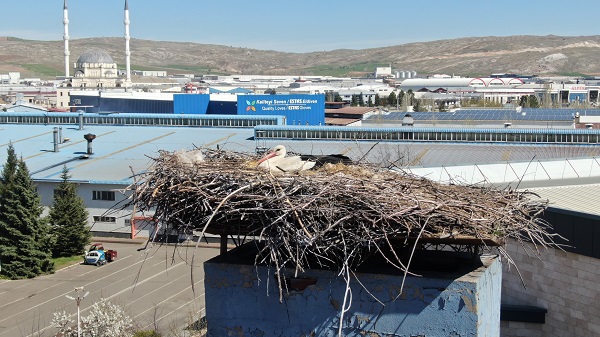 Foto - Sebebini duyunca çok şaşıracaksınız! Bakın o firma üretimi neden durdurdu