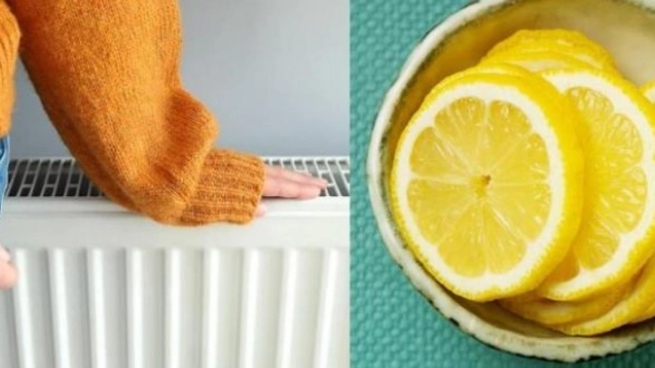 Foto - Sebebini duyunca çok şaşıracaksınız! Kalorifer peteklerine neden limon koyulur?