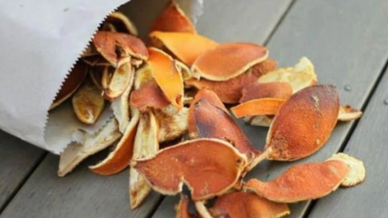 Foto - Sebebini duyunca çok şaşıracaksınız! Kalorifer peteklerine neden limon koyulur?