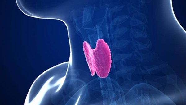 Foto - Sebepsiz kilo artışınız varsa...