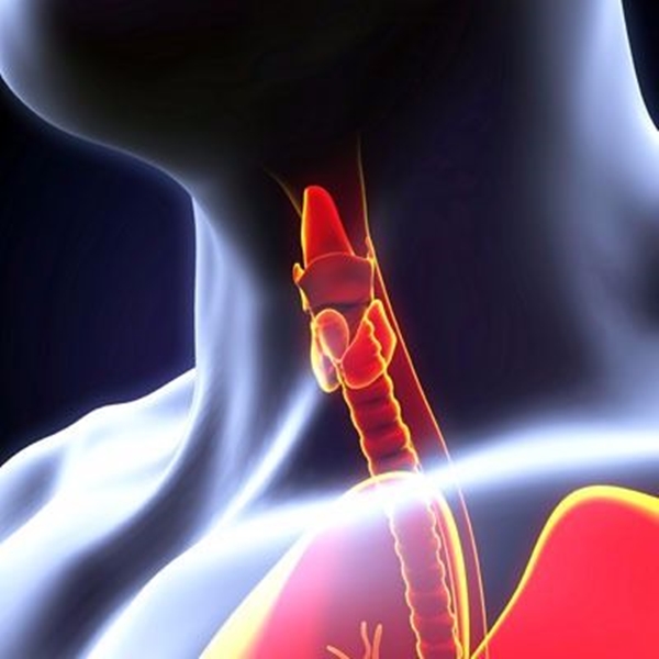 Foto - Sebepsiz kilo artışınız varsa...