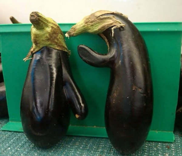 Foto - Sebze ve meyveleri hiç böyle görmediniz