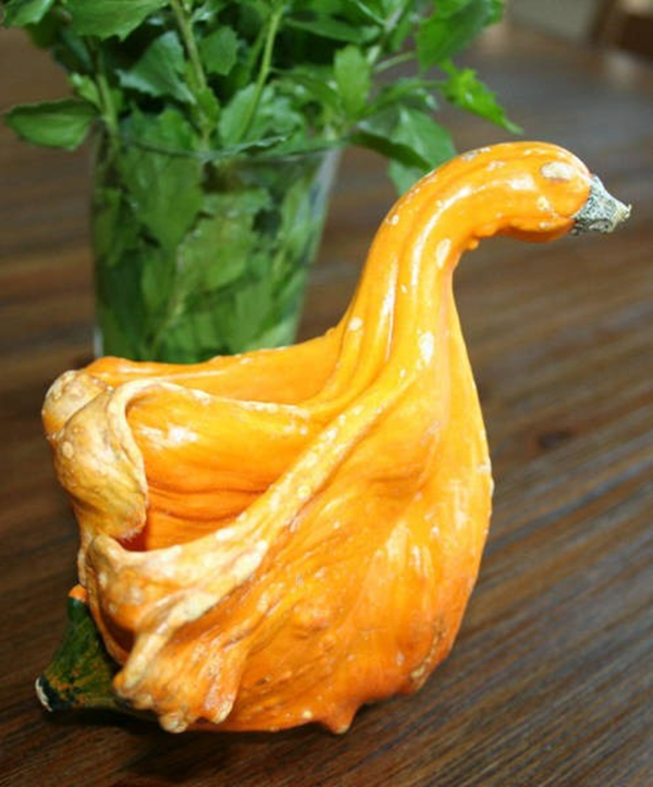 Foto - Sebze ve meyveleri hiç böyle görmediniz