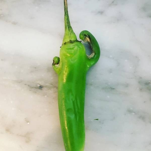 Foto - Sebze ve meyveleri hiç böyle görmediniz