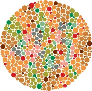 Foto - Sebze ve meyveyi yemeyi tamamen bıraktığınızda vücudunuzda neler olur?