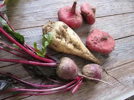 Foto - Sebzeleri çiğ tüketmek mi daha sağlıklı yoksa pişirmek mi? İşte uzman cevabı...