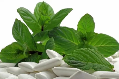 Foto - Seçimlerden sonra dünya bu bitkiyi konuşuyor! O hastalığa faydası keşfedildi