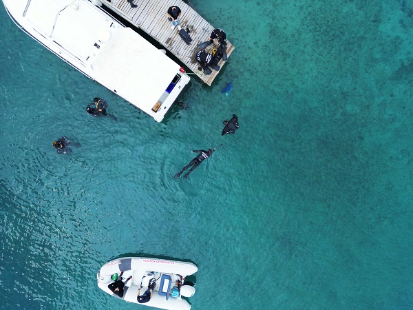 Foto - Sedir Adası pırıl pırıl oldu