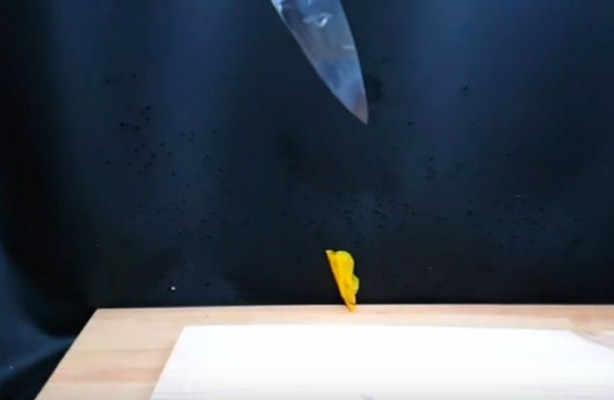 Foto - Şef bıçağını üç koldan kızdırdı ve önüne gelen her şeyi doğradı!