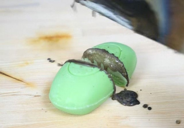 Foto - Şef bıçağını üç koldan kızdırdı ve önüne gelen her şeyi doğradı!