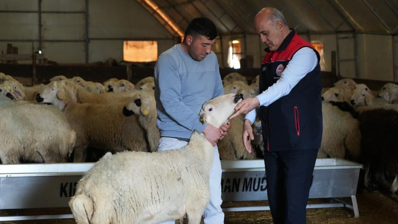 Foto - Şehir hayatı 5 ay sürdü! Köyüne geri dönüp hayvancılığa başladı