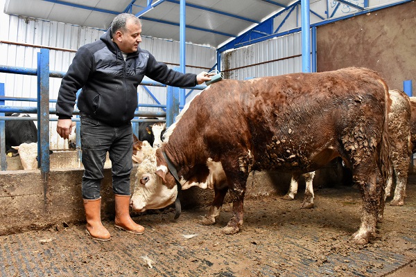 Foto - Şehir hayatını bıktı kendi işini kurdu