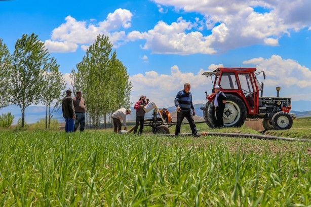 Şehirde buğdayda 85 bin ton rekolte bekleniyor