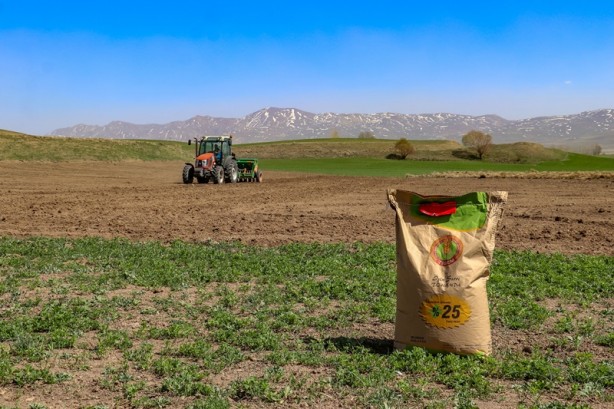 Foto - Şehirde buğdayda 85 bin ton rekolte bekleniyor