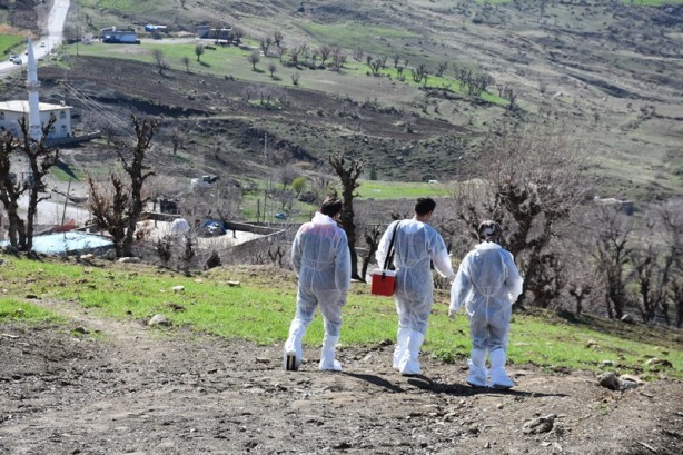 Şehirde büyükbaş hayvanlara şap aşısı