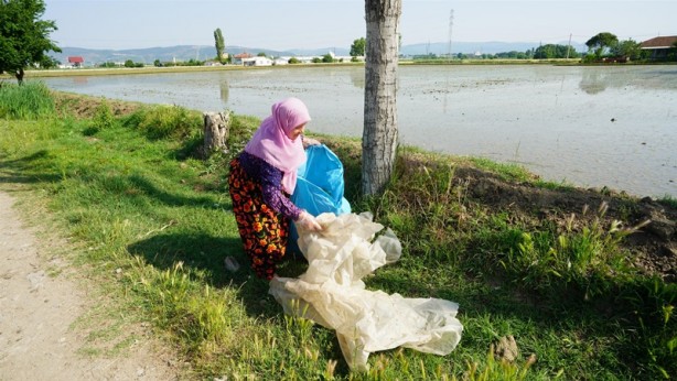 Şehirde her 500 kilogram tarla atığı karşılığında bir kuzu verilecek