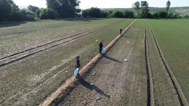Foto - Şehirde her 500 kilogram tarla atığı karşılığında bir kuzu verilecek