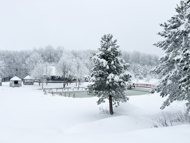 Foto - Şehirde kar yağışı