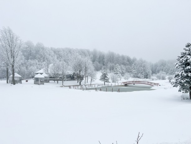 Foto - Şehirde kar yağışı