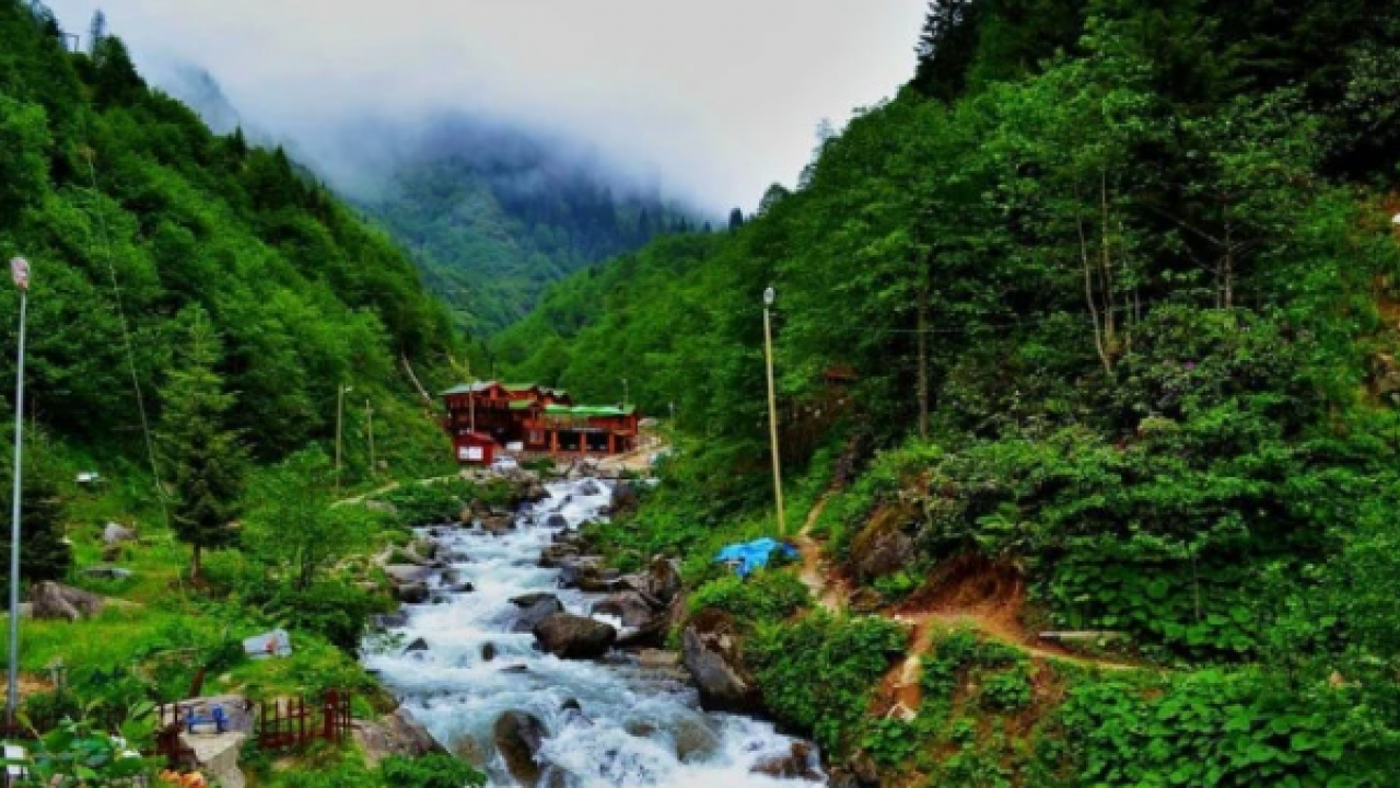 Foto - Şehirde kavrulanlar yaylada serinliyor