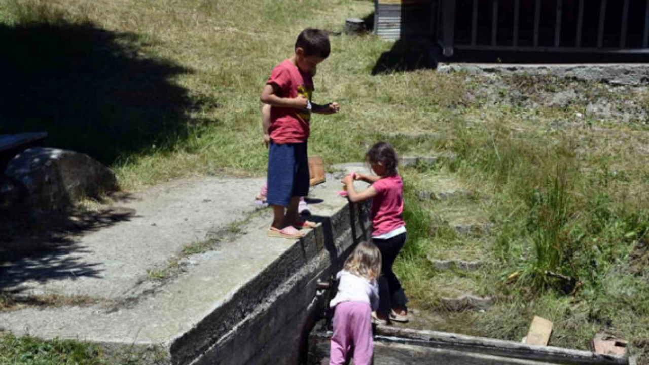 Foto - Şehirde kavrulanlar yaylada serinliyor
