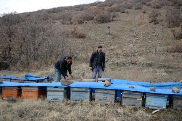Foto - Şehirde kuraklığın bal üretimini düşürmesinden endişe ediliyor
